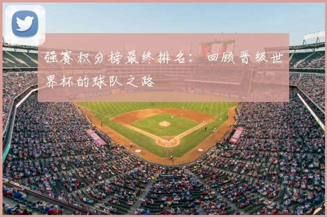强赛积分榜最终排名：回顾晋级世界杯的球队之路