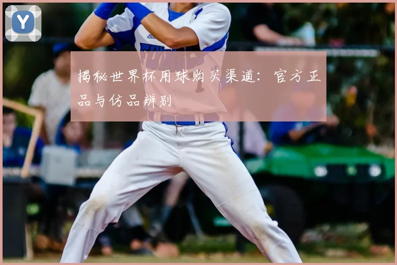 揭秘世界杯用球购买渠道：官方正品与仿品辨别