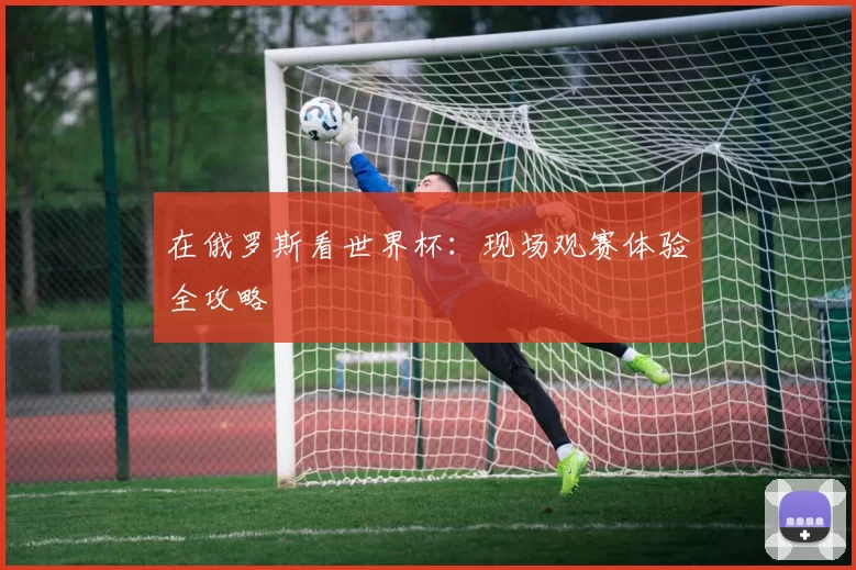 在俄罗斯看世界杯：现场观赛体验全攻略
