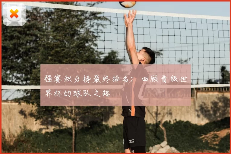 强赛积分榜最终排名：回顾晋级世界杯的球队之路