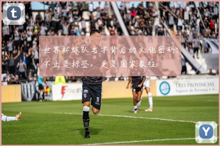 世界杯球队名字背后的文化密码:不止是标签,更是国家象征
