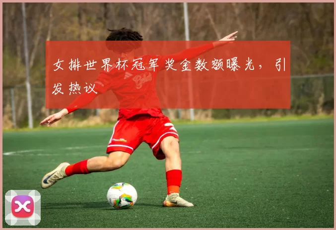 女排世界杯冠军奖金数额曝光，引发热议