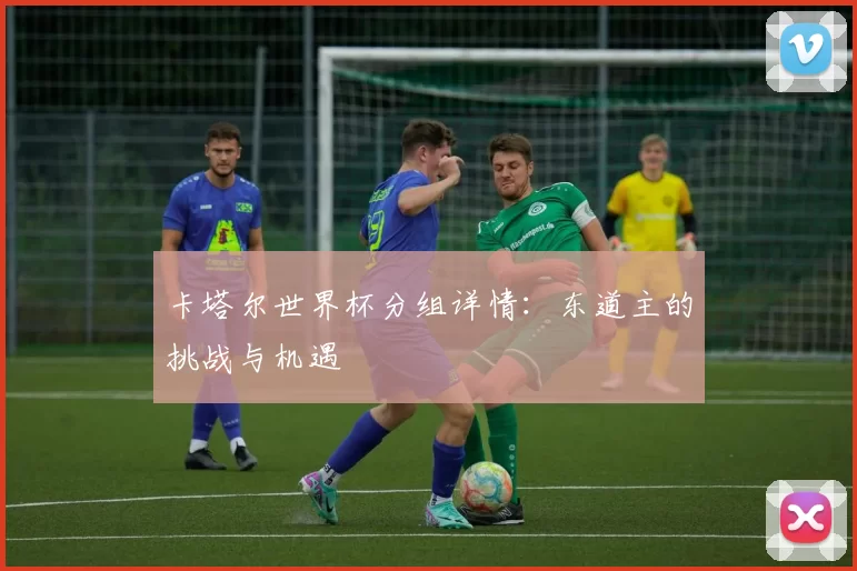 卡塔尔世界杯分组详情：东道主的挑战与机遇