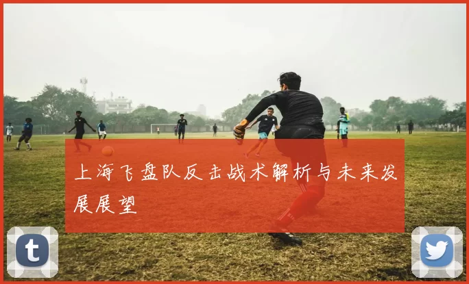 上海飞盘队反击战术解析与未来发展展望