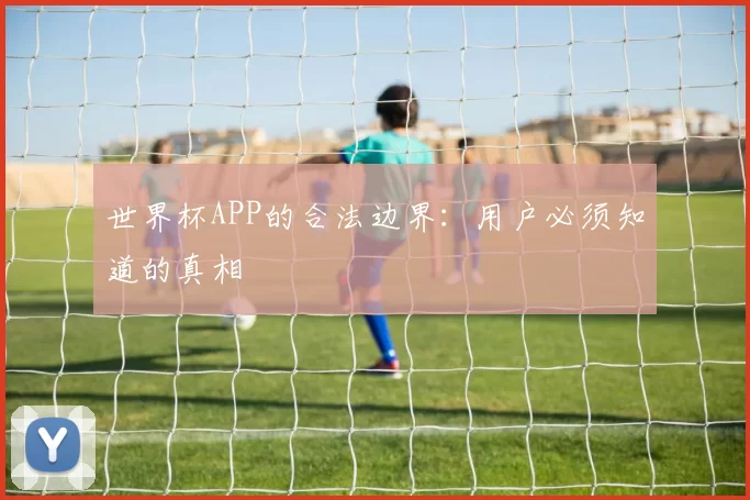 世界杯APP的合法边界:用户必须知道的真相