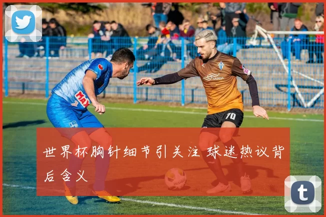 世界杯胸针细节引关注 球迷热议背后含义